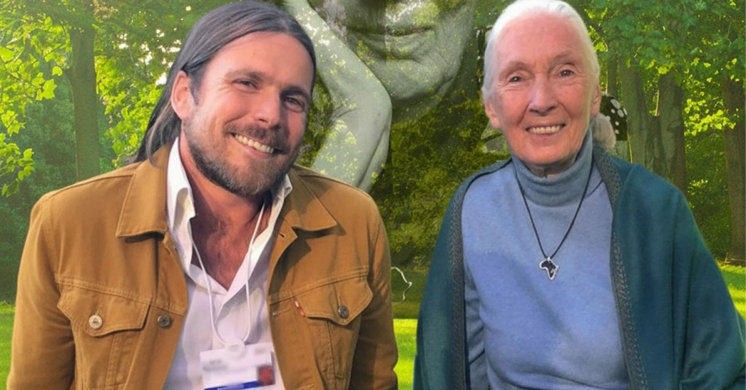 The Garden of Echoes: A symphony of nature and humanity